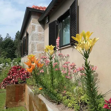 Hébergement de vacances Casa Dos Matos Ponte de Lima