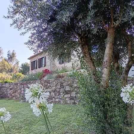 Casa Dos Matos *