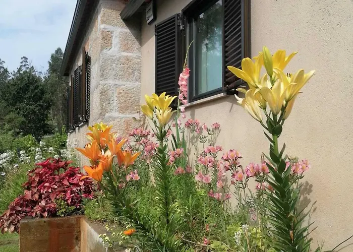 Hébergement de vacances Casa Dos Matos Ponte de Lima